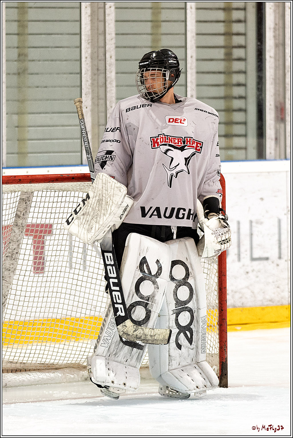 Sponsorentraining Kölner Haie 8.6.2022, 08.06.2022